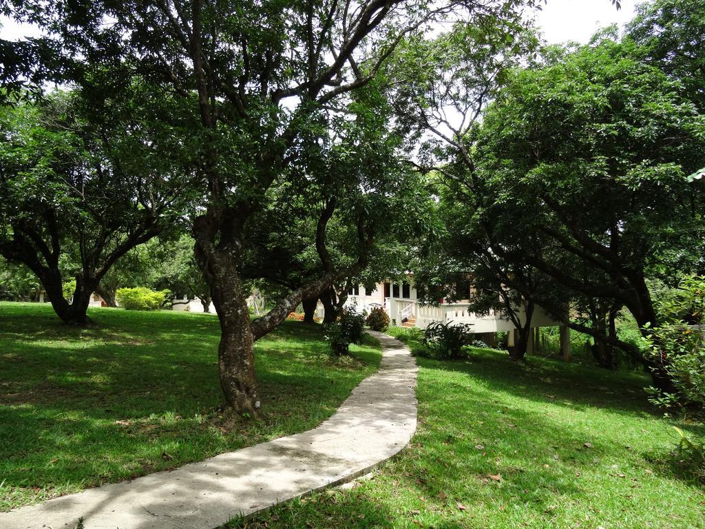 Chang Garden Resort Mae Chan المظهر الخارجي الصورة