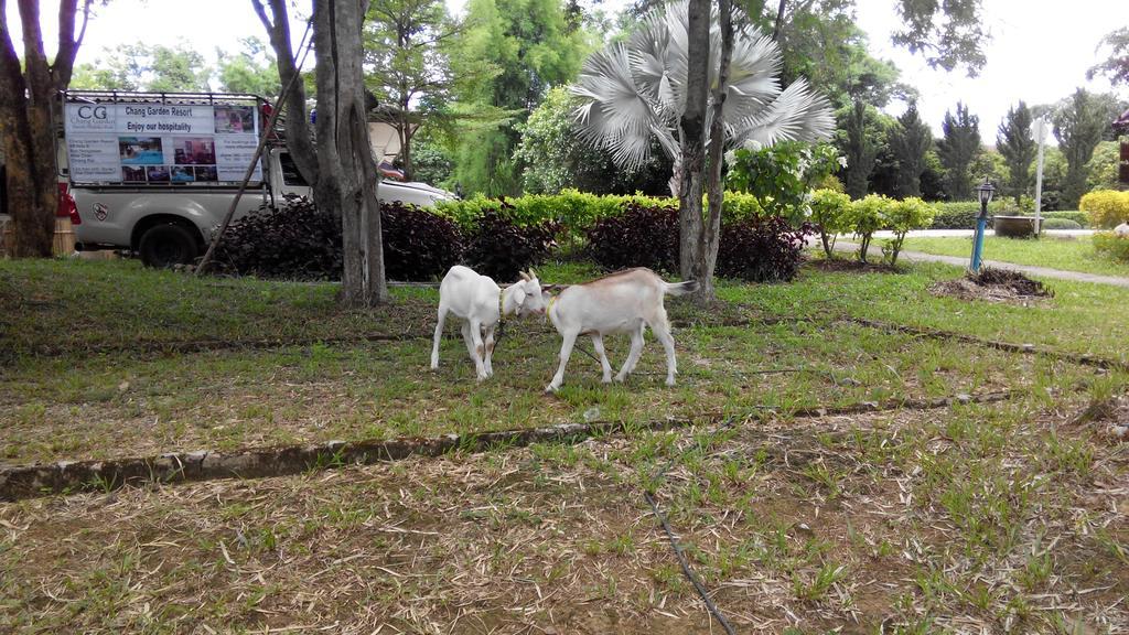 Chang Garden Resort Mae Chan المظهر الخارجي الصورة